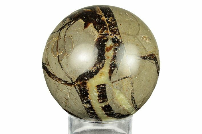Polished Septarian Sphere - Madagascar #260035